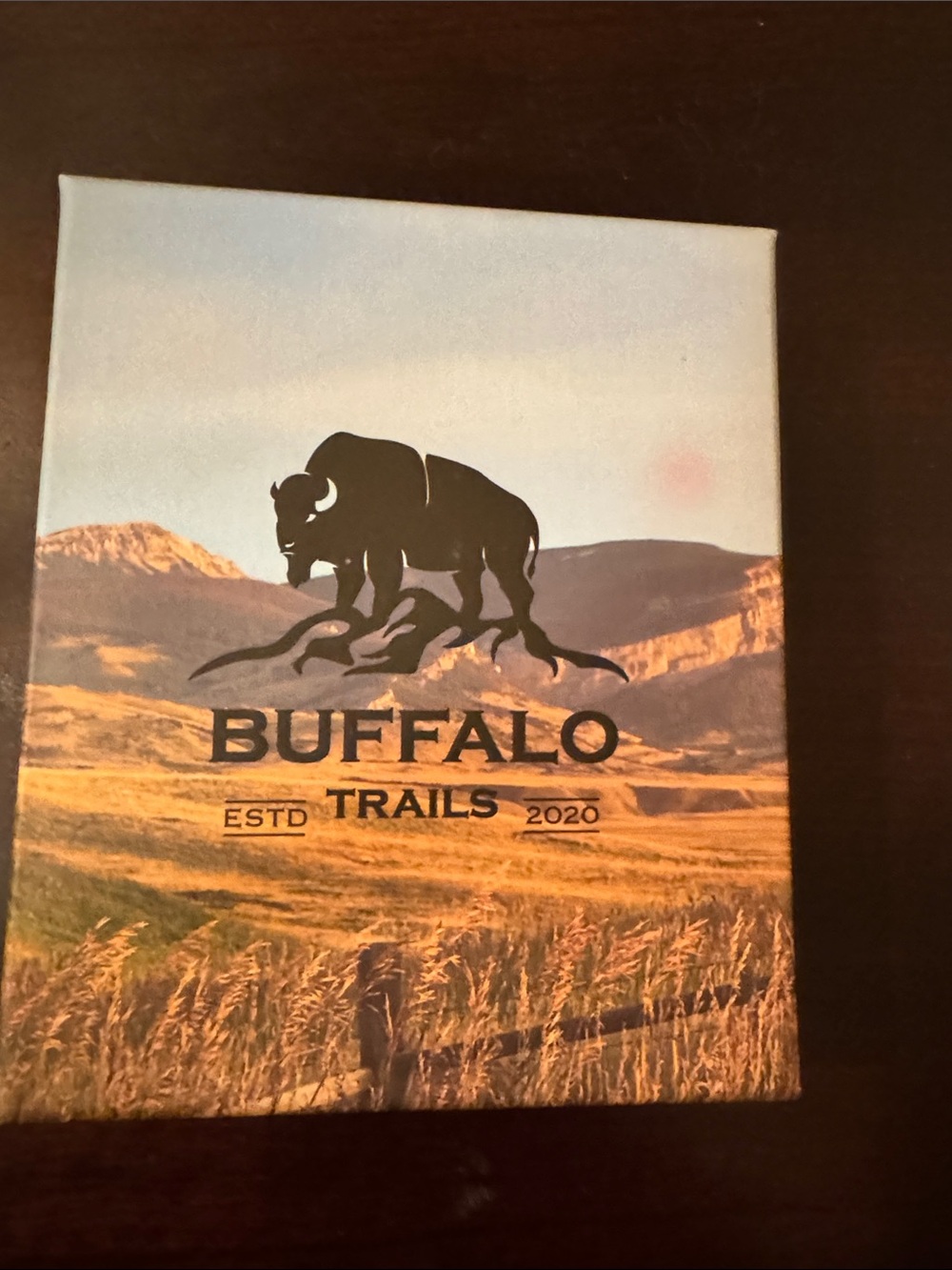 Buffalo trails wallet men NEW black